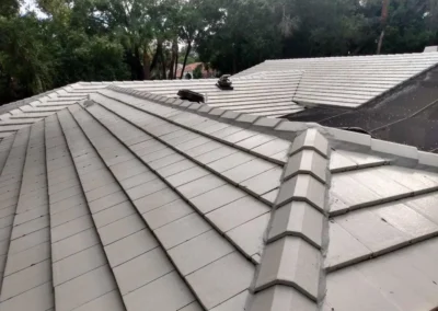 Freshly cleaned tile roof