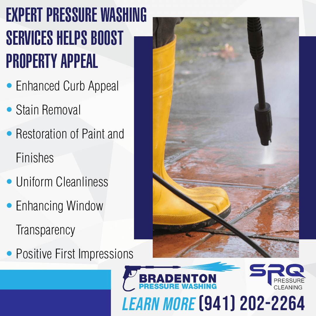 Expert Pressure Washing Services